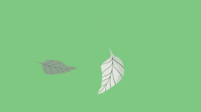 3 Simple Meditation Routines for Daily Practice